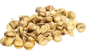Tuinbonen geroosterd zout 200gr